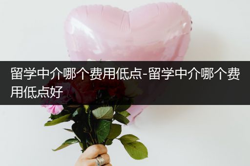 留学中介哪个费用低点-留学中介哪个费用低点好