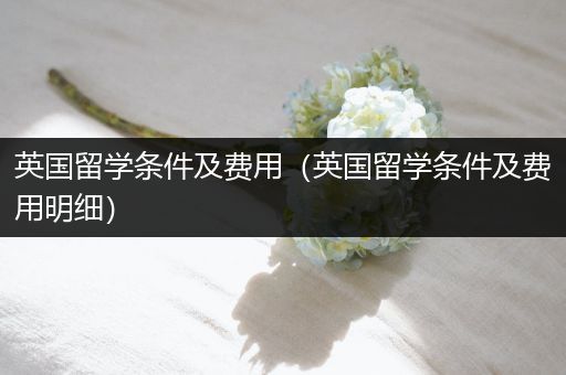 英国留学条件及费用（英国留学条件及费用明细）