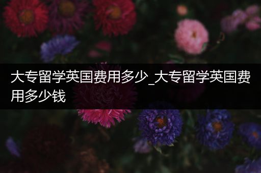 大专留学英国费用多少_大专留学英国费用多少钱
