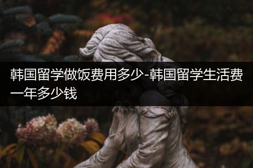 韩国留学做饭费用多少-韩国留学生活费一年多少钱