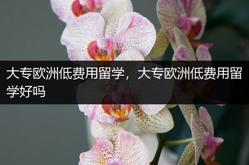 大专欧洲低费用留学，大专欧洲低费用留学好吗