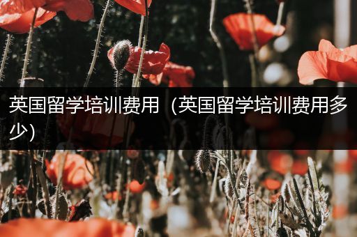 英国留学培训费用（英国留学培训费用多少）