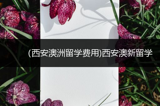 （西安澳洲留学费用)西安澳新留学