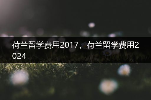 荷兰留学费用2017，荷兰留学费用2024