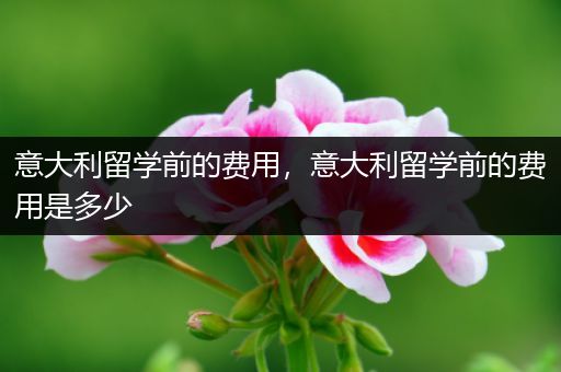 意大利留学前的费用，意大利留学前的费用是多少