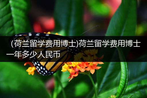 （荷兰留学费用博士)荷兰留学费用博士一年多少人民币