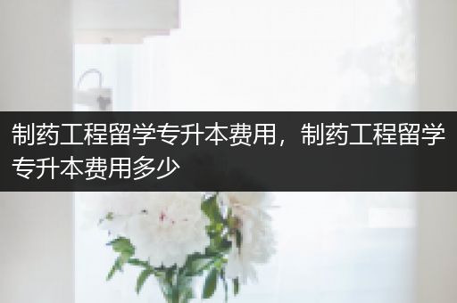 制药工程留学专升本费用，制药工程留学专升本费用多少