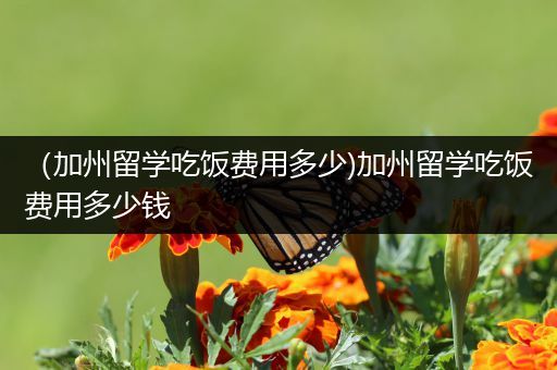 （加州留学吃饭费用多少)加州留学吃饭费用多少钱