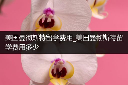 美国曼彻斯特留学费用_美国曼彻斯特留学费用多少