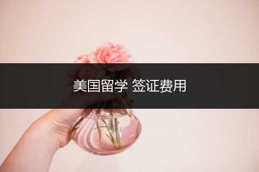 美国留学 签证费用
