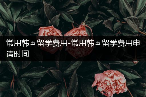 常用韩国留学费用-常用韩国留学费用申请时间