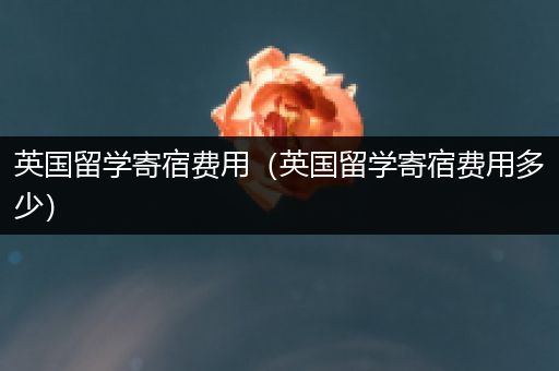 英国留学寄宿费用（英国留学寄宿费用多少）