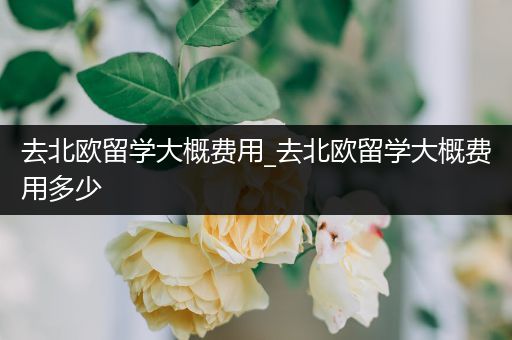 去北欧留学大概费用_去北欧留学大概费用多少