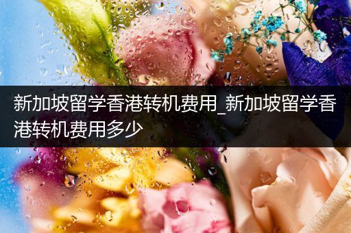 新加坡留学香港转机费用_新加坡留学香港转机费用多少