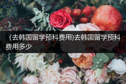 （去韩国留学预科费用)去韩国留学预科费用多少