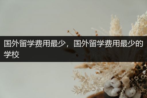 国外留学费用最少，国外留学费用最少的学校
