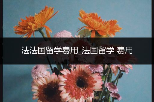 法法国留学费用_法国留学 费用