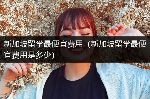 新加坡留学最便宜费用（新加坡留学最便宜费用是多少）