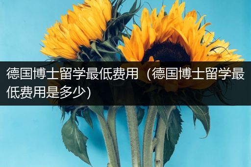 德国博士留学最低费用（德国博士留学最低费用是多少）