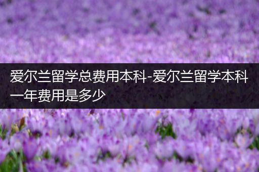 爱尔兰留学总费用本科-爱尔兰留学本科一年费用是多少