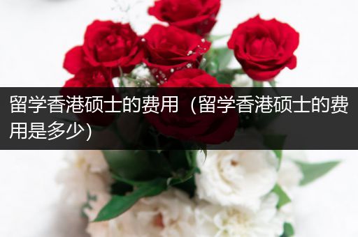 留学香港硕士的费用（留学香港硕士的费用是多少）