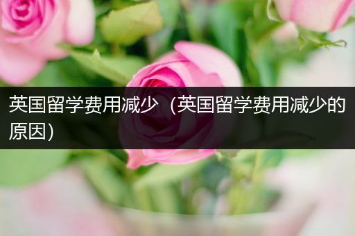 英国留学费用减少（英国留学费用减少的原因）
