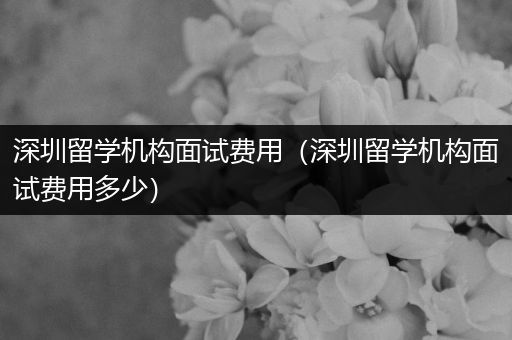 深圳留学机构面试费用（深圳留学机构面试费用多少）