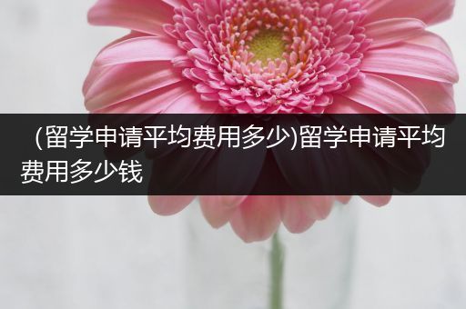 （留学申请平均费用多少)留学申请平均费用多少钱