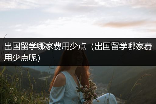 出国留学哪家费用少点（出国留学哪家费用少点呢）
