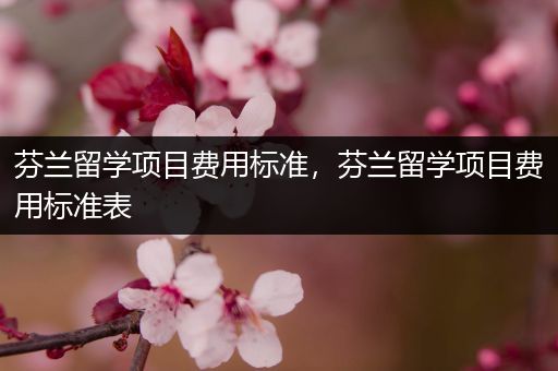 芬兰留学项目费用标准，芬兰留学项目费用标准表