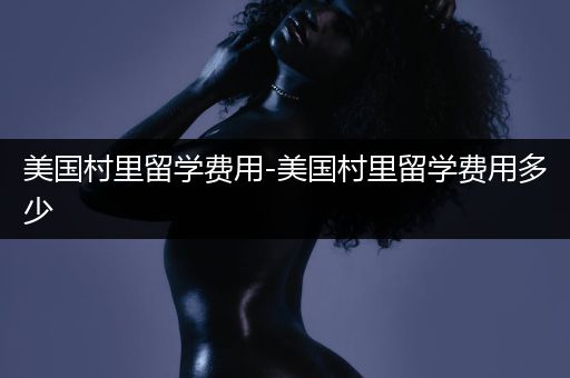 美国村里留学费用-美国村里留学费用多少