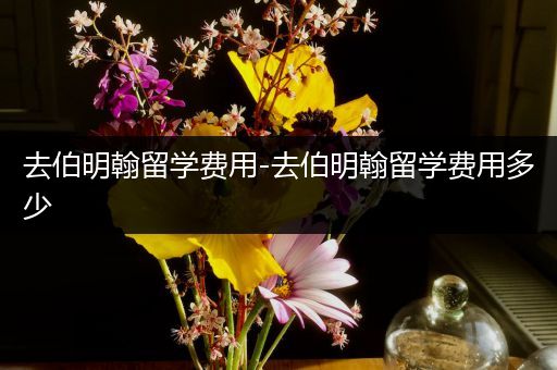 去伯明翰留学费用-去伯明翰留学费用多少