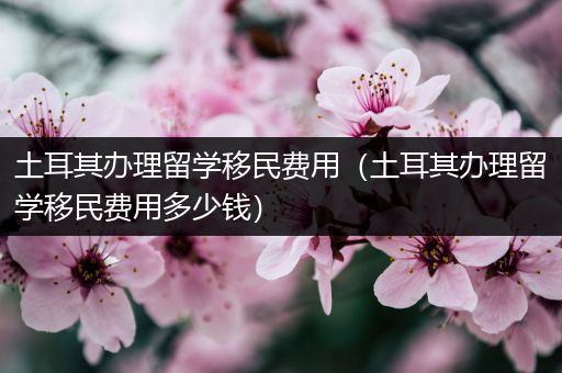 土耳其办理留学移民费用（土耳其办理留学移民费用多少钱）
