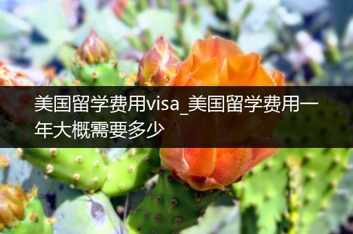 美国留学费用visa_美国留学费用一年大概需要多少
