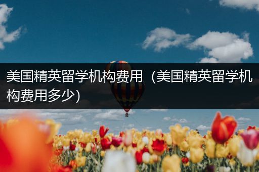 美国精英留学机构费用（美国精英留学机构费用多少）