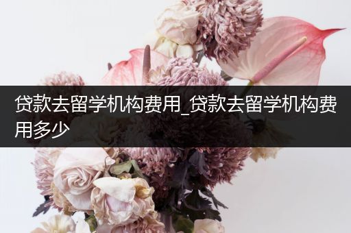 贷款去留学机构费用_贷款去留学机构费用多少