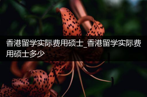 香港留学实际费用硕士_香港留学实际费用硕士多少