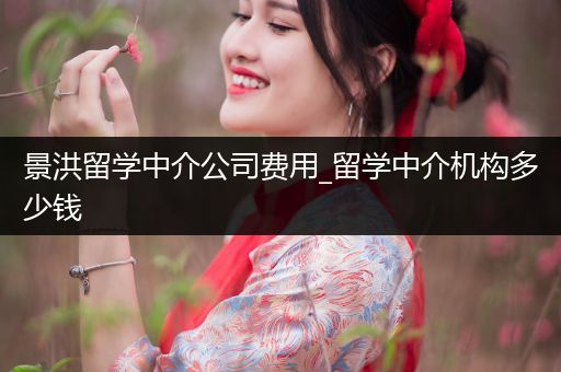 景洪留学中介公司费用_留学中介机构多少钱
