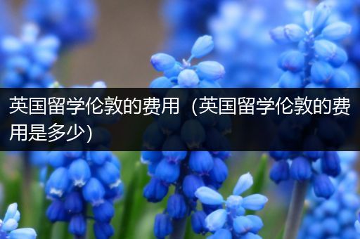 英国留学伦敦的费用（英国留学伦敦的费用是多少）