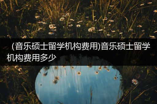 （音乐硕士留学机构费用)音乐硕士留学机构费用多少