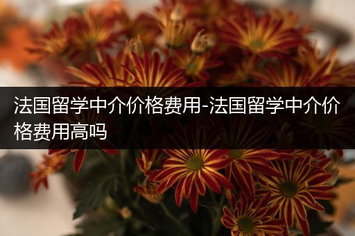 法国留学中介价格费用-法国留学中介价格费用高吗
