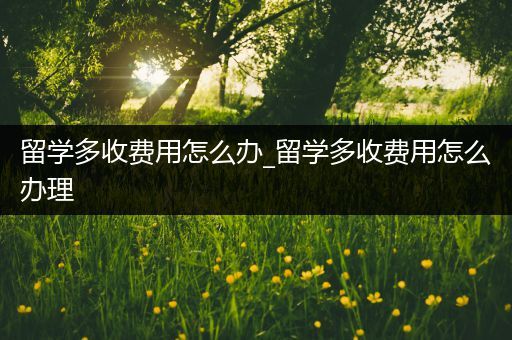 留学多收费用怎么办_留学多收费用怎么办理