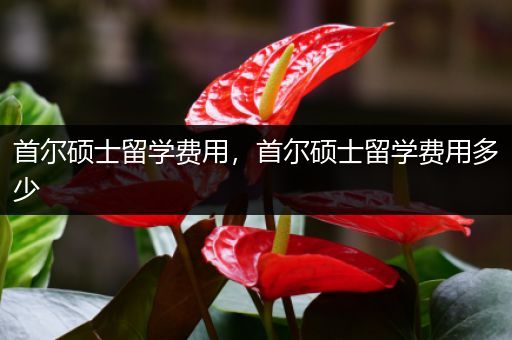 首尔硕士留学费用，首尔硕士留学费用多少