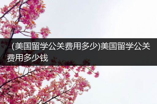 （美国留学公关费用多少)美国留学公关费用多少钱