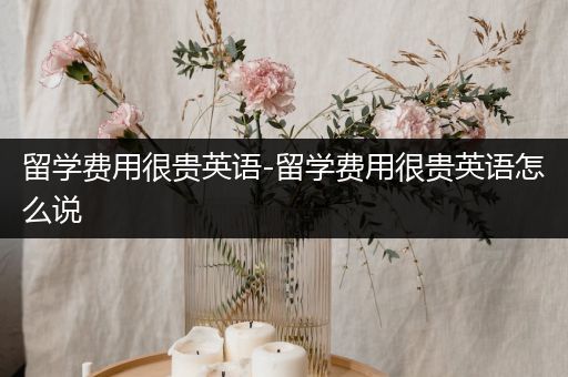 留学费用很贵英语-留学费用很贵英语怎么说