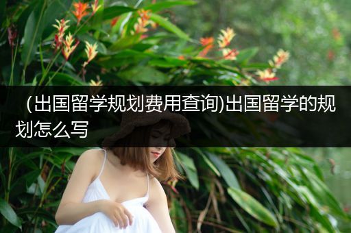 （出国留学规划费用查询)出国留学的规划怎么写