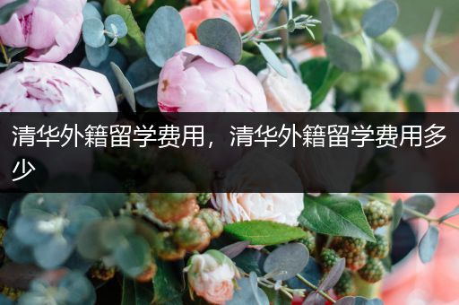 清华外籍留学费用，清华外籍留学费用多少