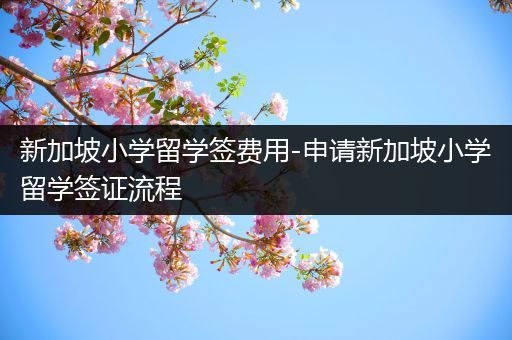 新加坡小学留学签费用-申请新加坡小学留学签证流程