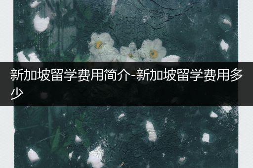 新加坡留学费用简介-新加坡留学费用多少