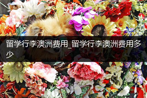 留学行李澳洲费用_留学行李澳洲费用多少